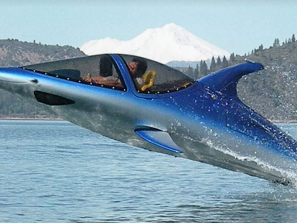 Dolphin Boat - Photo: www.thisiswhyimbroke.com