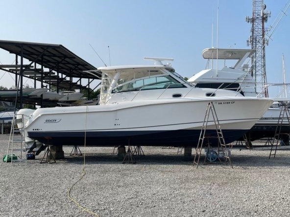 BostonWhaler345_ext02